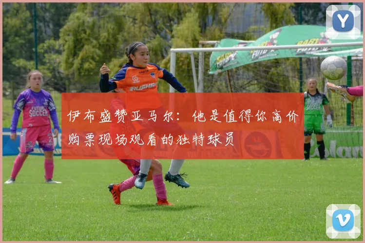 伊布盛赞亚马尔：他是值得你高价购票现场观看的独特球员