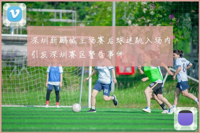深圳新鹏城主场赛后球迷跳入场内引发深圳赛区警告事件